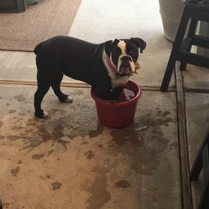 Meet your Posher, Cyndi